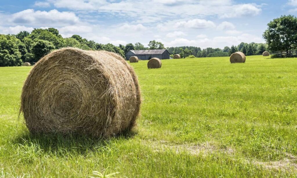 A Small Bale of Hay
