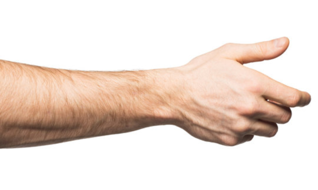 Average Male Hand