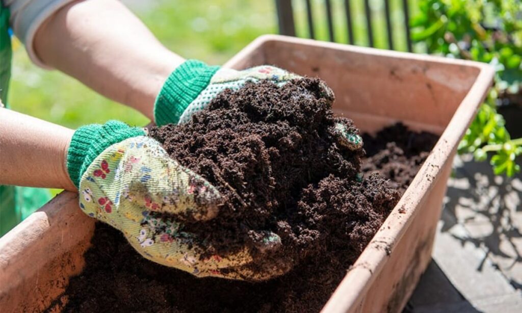 Potting Soil