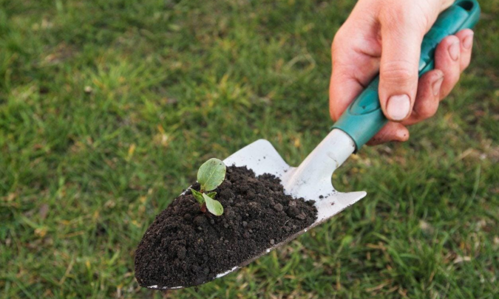 Small Garden Trowel