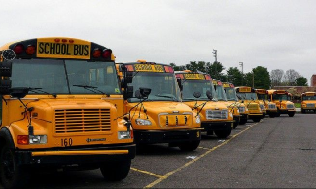 Two School Buses Parked End to End