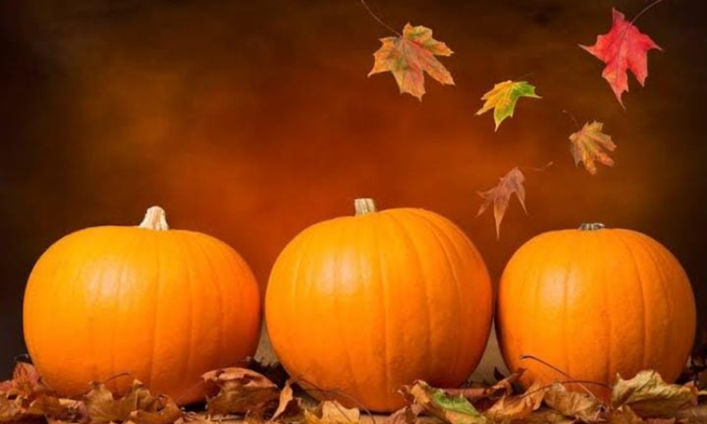 Three Average-Sized Pumpkins