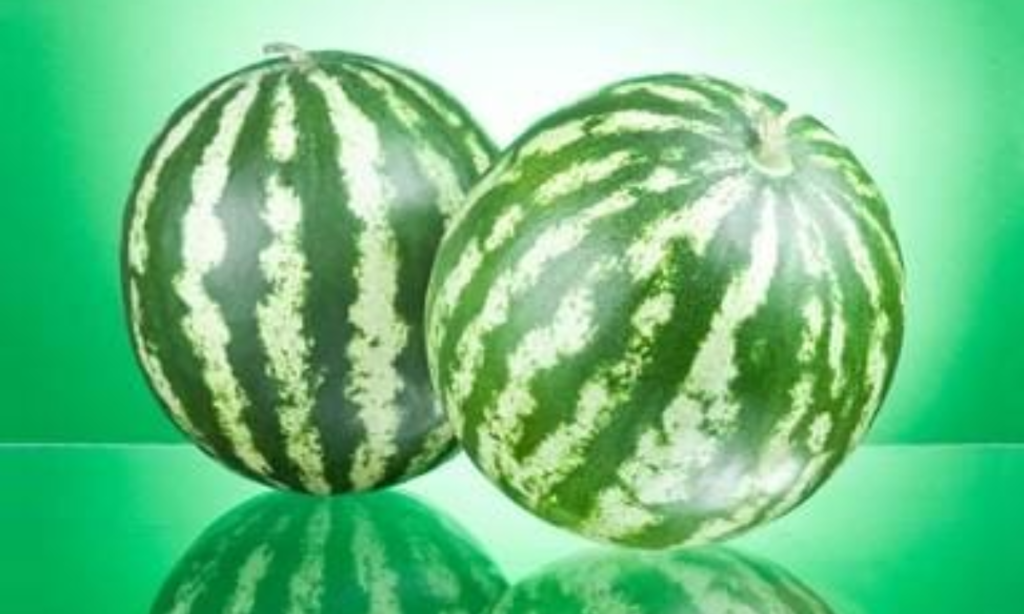 Two Large Watermelons
